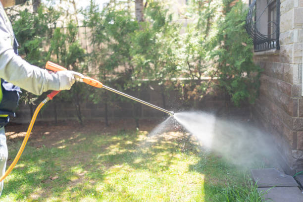 Best Rat Extermination Near Me  in Fletcher, OK