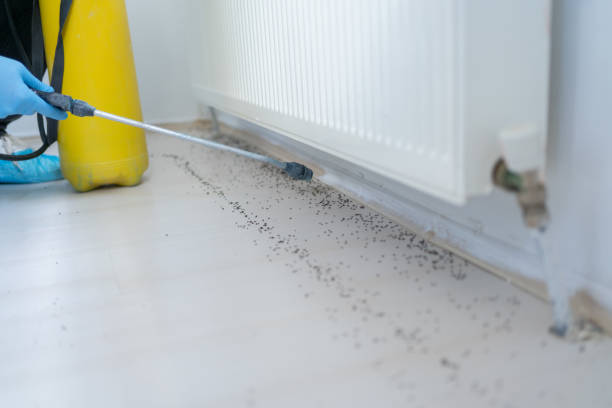 Pest Prevention Services in Fletcher, OK
