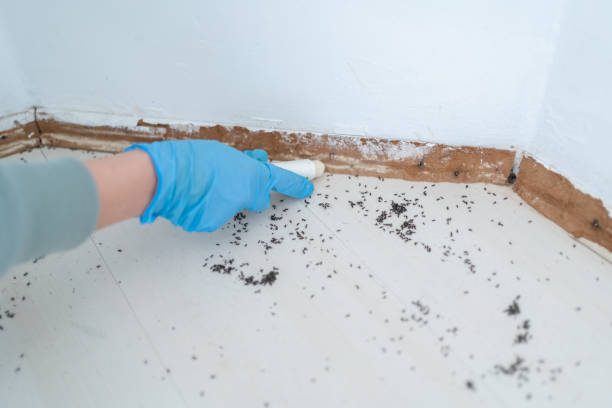 Best Pest Removal Services  in Fletcher, OK